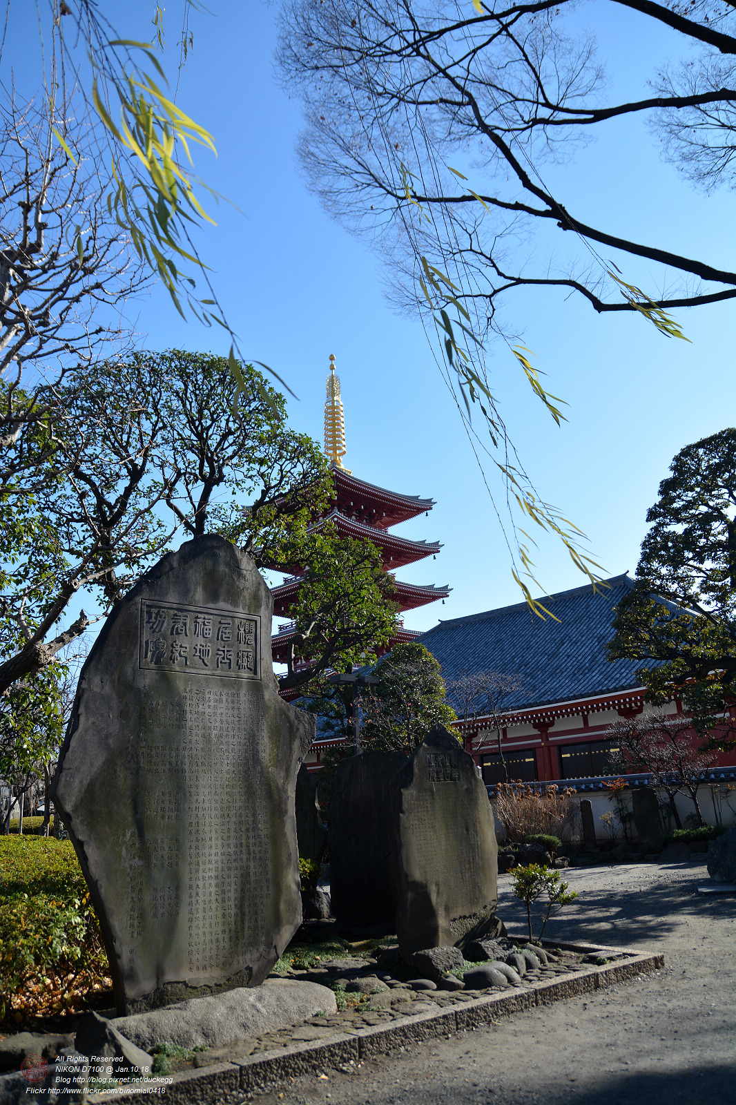 20180110113700_NIKON D7100.jpg